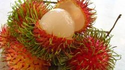Rambutan nedir