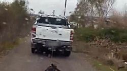 Mersin'de vicdansız adam köpeği aracın arkasında sürükledi