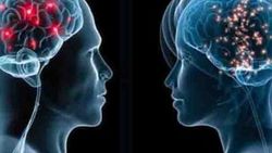 Ensefalit nedir