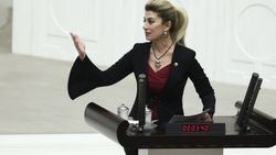 CHP'li Didem Engin'den 2019 için iddialı çıkış