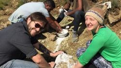Güney Afrika'da yeni bir dinozor türü keşfedildi