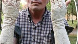 23 yılını sedefle geçirdi