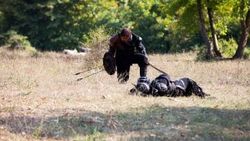 Diriliş Ertuğrul Dizisi Hollywood yapımlarını aratmıyor