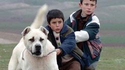11 yaşındaki Doğan İzci'ye Venedik'te en iyi oyuncu ödülü