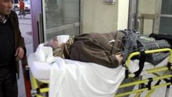Kayseri’de domuz gribi şüphesi