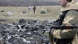 Düşen Malezya uçağı enkazında Donetsk krizi
