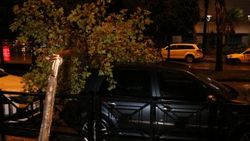 Fırtına ve dolu Adana'yı karıştırdı