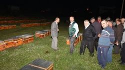 Ankara'da 75 çiftçiye arılı kovan verildi