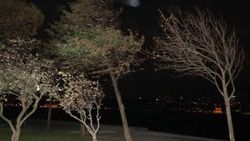İstanbul'da gece fırtınası