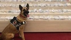 Van'da 52 kilo eroin yakalandı