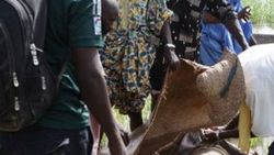 Mali'de kamyon nehre düştü: 20 ölü