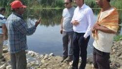 Aydın'da toplu balık ölümleri araştırılacak
