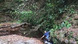 Tarzan’a özendi ama finalde suya düştü