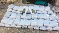 Diyarbakır'da bir ahırda 111 kilogram esrar ele geçirildi