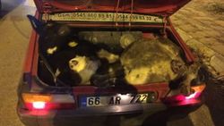 Ankara'da hayvan hırsızları yakalandı