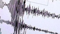 Doğu Türkistan'da 7.3 şiddetinde deprem