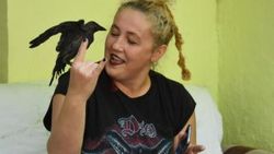 Evcilleştirdiği kargaya metal müzik dinletiyor