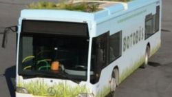 Botobüs'ler İstanbul trafiğine çıktı