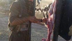 Tel Abyad'ı alan YPG'liler kurban kesti