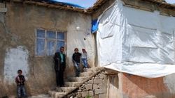 Hakkari'de bir evi yılanlar işgal etti