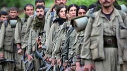 Şırnak'ta 3 PKK'lı teslim oldu