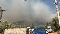 Antalya'da orman yangını