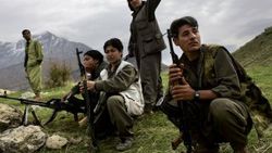 Şemdinli'de 4 terörist yakalandı
