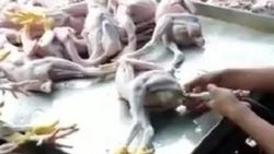 Piliç eti satan 19 şirkete soruşturma