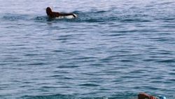 Antalya’da deniz keyfi sürüyor