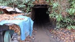 Zonguldak'ta 5 maden ocağı kapatıldı