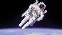 Astronotlar Uzayda yetişen marulun tadına bakacak