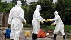 Kanada'dan Ebola'ya karşı aşı teklifi