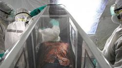 Ebola virüsü spermde iki yıl yaşayabiliyor