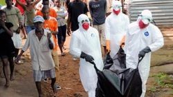 IMF'den Ebola'ya karşı 130 milyon dolarlık yardım