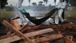 4 soruda Ebola nedir