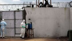 Ebola'dan ölenlerin sayısı 3 bini aştı