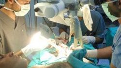 Akdeniz Üniversitesi'nde 2 gün aralıksız organ nakli