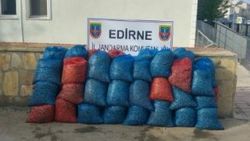 Edirne'de 1 ton 200 kilo kaçak midye yakalandı