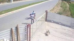 Bekçi köpeğini tüfekle öldüren kişinin cezası belli oldu