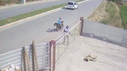 Edirne'de bekçi köpeğine tüfekli saldırı