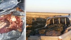 Edirne’de 2 buçuk ton kaçak et ele geçirildi