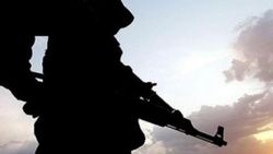 Tunceli'de terör operasyonu
