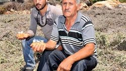 Elma yağının kilosu 450 liradan satılıyor