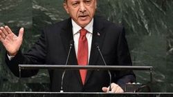 Mısır'dan Cumhurbaşkanı Erdoğan'a kınama