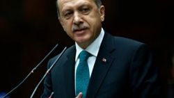 Hollanda'da Böhmermann kararından sonra yasa hamlesi