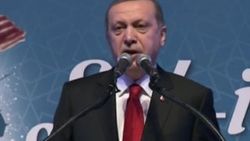 Erdoğan: DAİŞ ile mücadelede at izi it izine karıştı