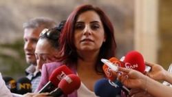 CHP'li Ermeni vekil Selina Doğan diaspora yorumu