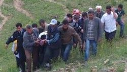 Erzurum'da çaşır toplayan kadınlara ayı saldırdı