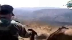 Esad askerleri hayvanları kurşuna dizdi