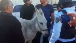 İsrail eşeğe bile el koydu